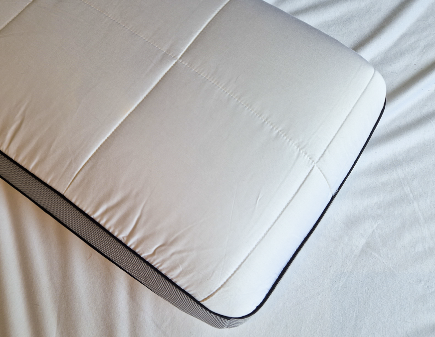 Panda Hybrid pillow with cover
